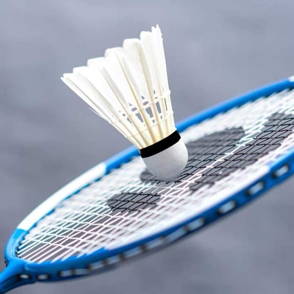24xprofessional badminton shuttlecocks